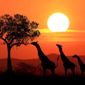 Kenya