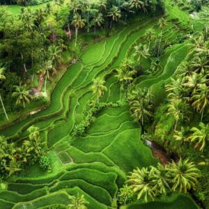 Bali: L'isola degli dei