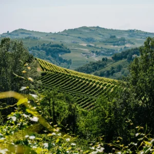 Weekend nelle Langhe