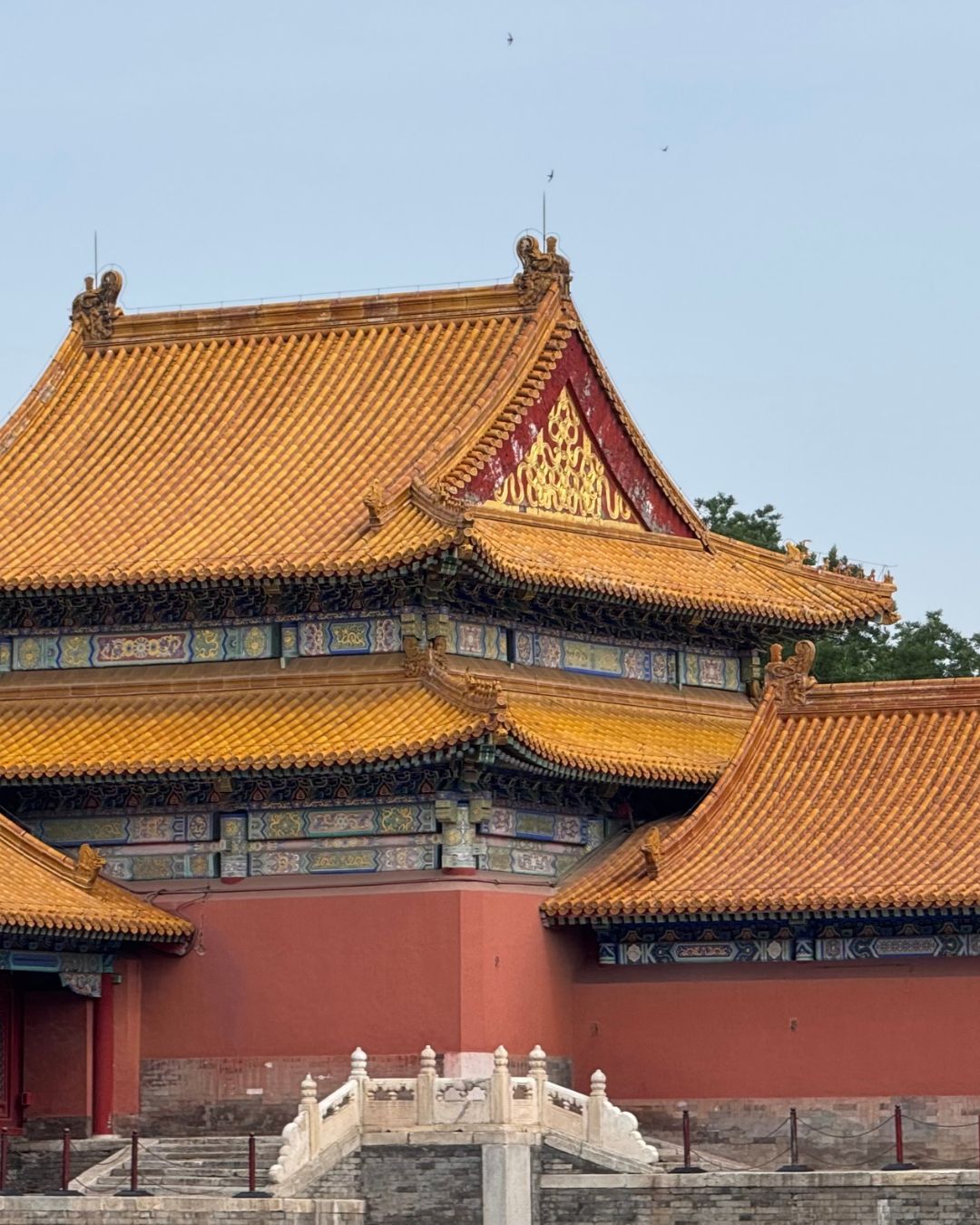 Cina